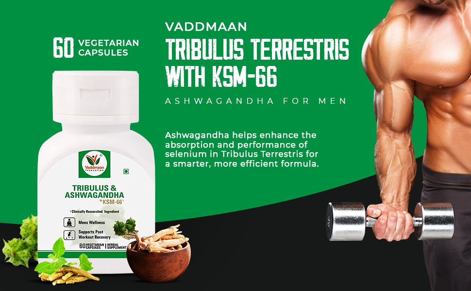 Vaddmaan Tribulus KSM-66 Natural Nutrition -60 Veg Capsule